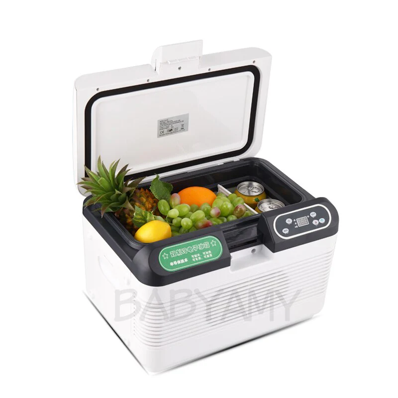 12L Car Insulin Fridge Portable Refrigerator Interferon Insulin Pen Cooler Storage Box With Shoulder Strap for Car And Home - Image 2