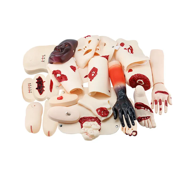 16 Pcs Trauma Evaluation Module Emergency Care Medical First Aid Simulation Model Teaching Equipment - Image 2