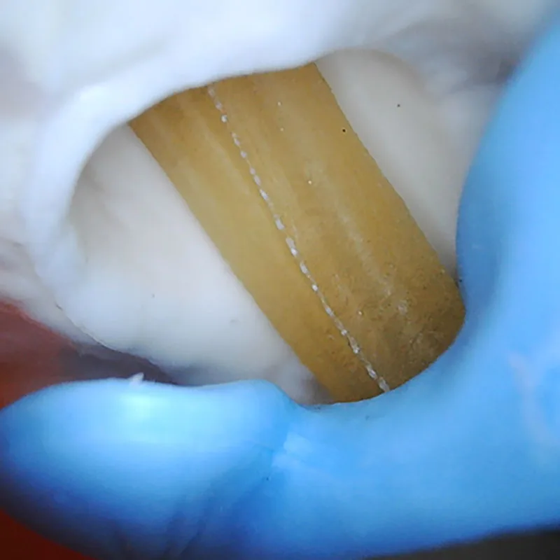 30 degree adjustable arthroscope articulatio genus surgery Simulation training model arthroscopic surgery - Image 5
