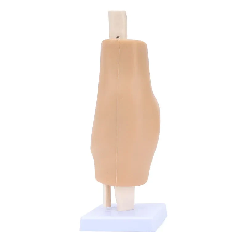 30 degree adjustable arthroscope articulatio genus surgery Simulation training model arthroscopic surgery - Image 6