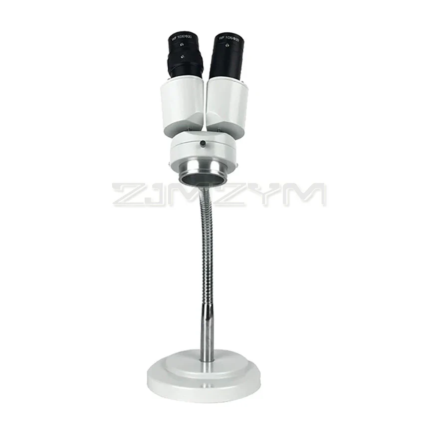 8X Stereo Microscope with LED Light Binocular Stereo Microscope Adjustable Hose for Dentist Oral Soldering PCB Repair Tool RX-6D - Image 2