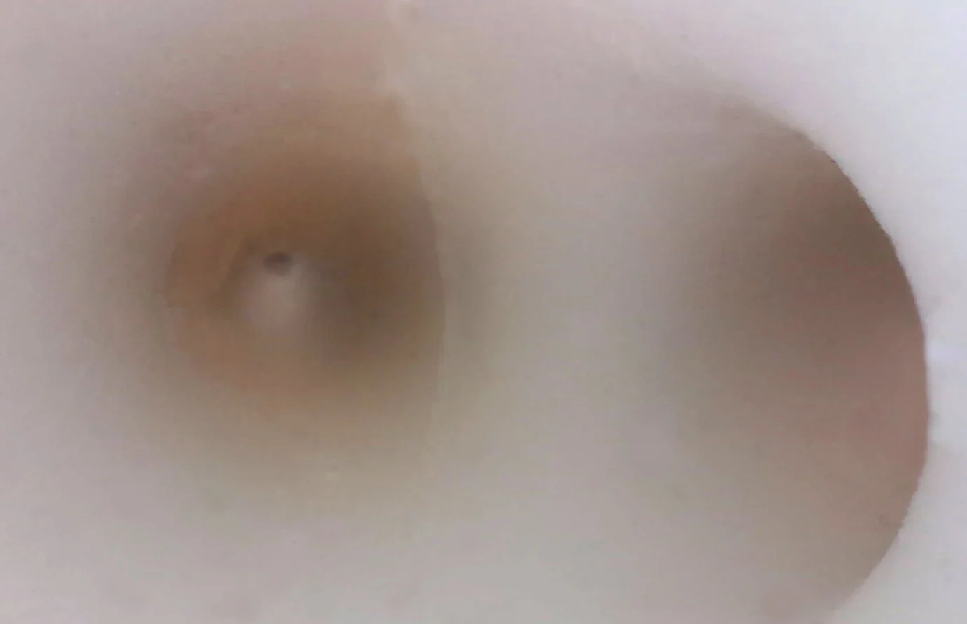 Advanced Bronchoscopy Training Model Simulator for Fiberoptic Bronchoscopy Exercises with Secondary Branch Structures - Image 3
