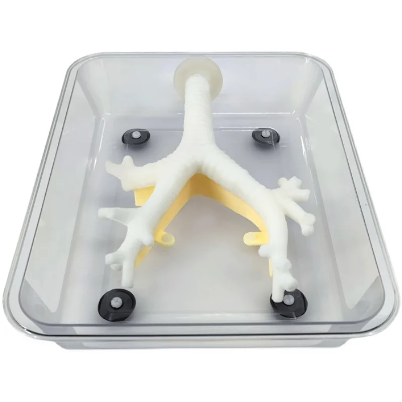 Advanced Bronchoscopy Training Model Simulator for Fiberoptic Bronchoscopy Exercises with Secondary Branch Structures - Image 4