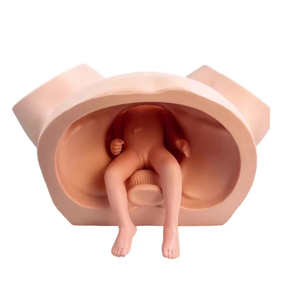 Advanced Midwifery Training Model Anatomy Childbirth Simulator Manikin for Teaching Learning Display Tool - Image 3