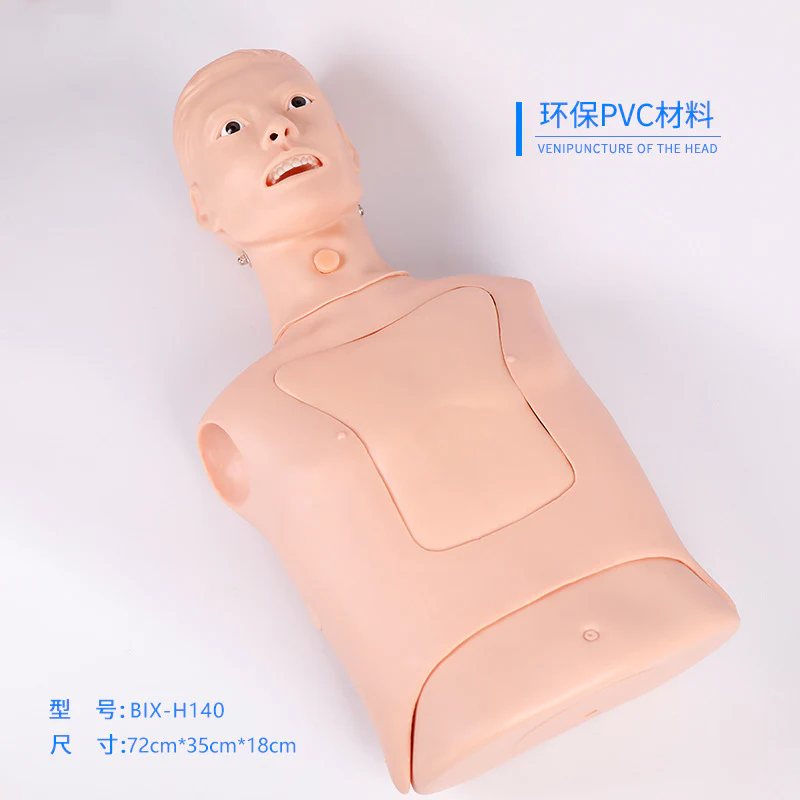 Advanced Nasogastric & Tracheal Care Model – Stomach & Tracheal Tube Insertion Training, Gastric Lavage Simulation for Medical Education - Image 3