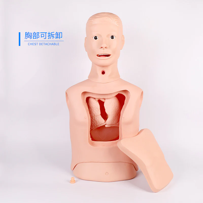 Advanced Nasogastric & Tracheal Care Model – Stomach & Tracheal Tube Insertion Training, Gastric Lavage Simulation for Medical Education - Image 4