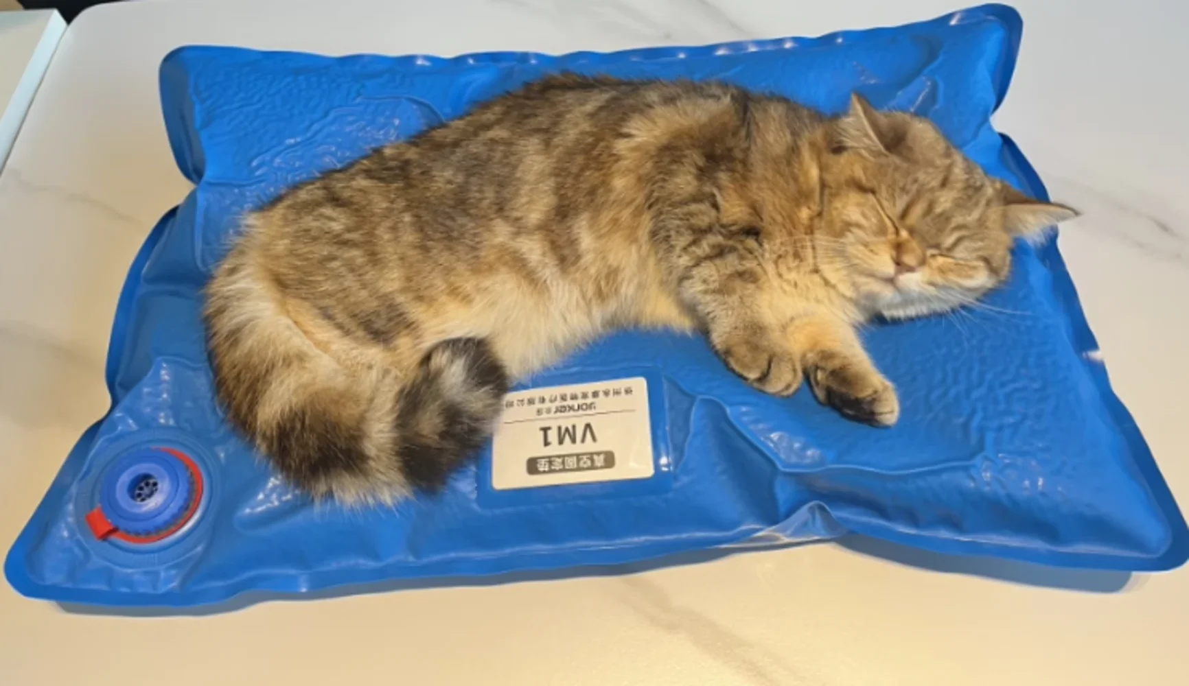 Animal Surgical Accessories Pet Vacuum Positioning Mat Small Veterinary Examination Pad - Image 2