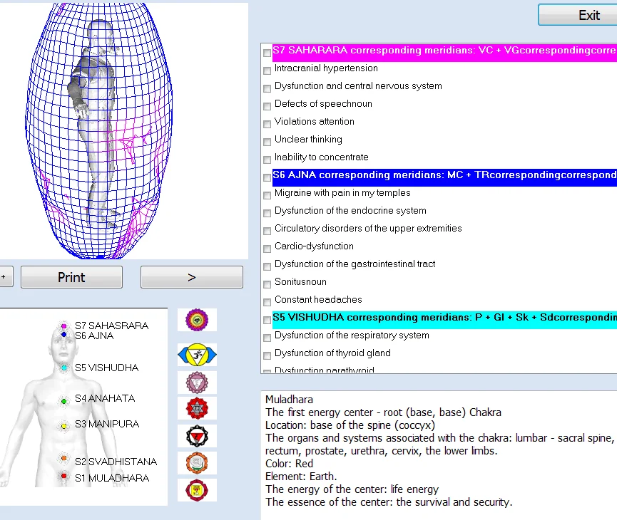 Bioresonance Original Russian 8D/9D/17D NLS Health Analyzer / Body Analysis Machine with Aura AND CHAKRAS - Image 3