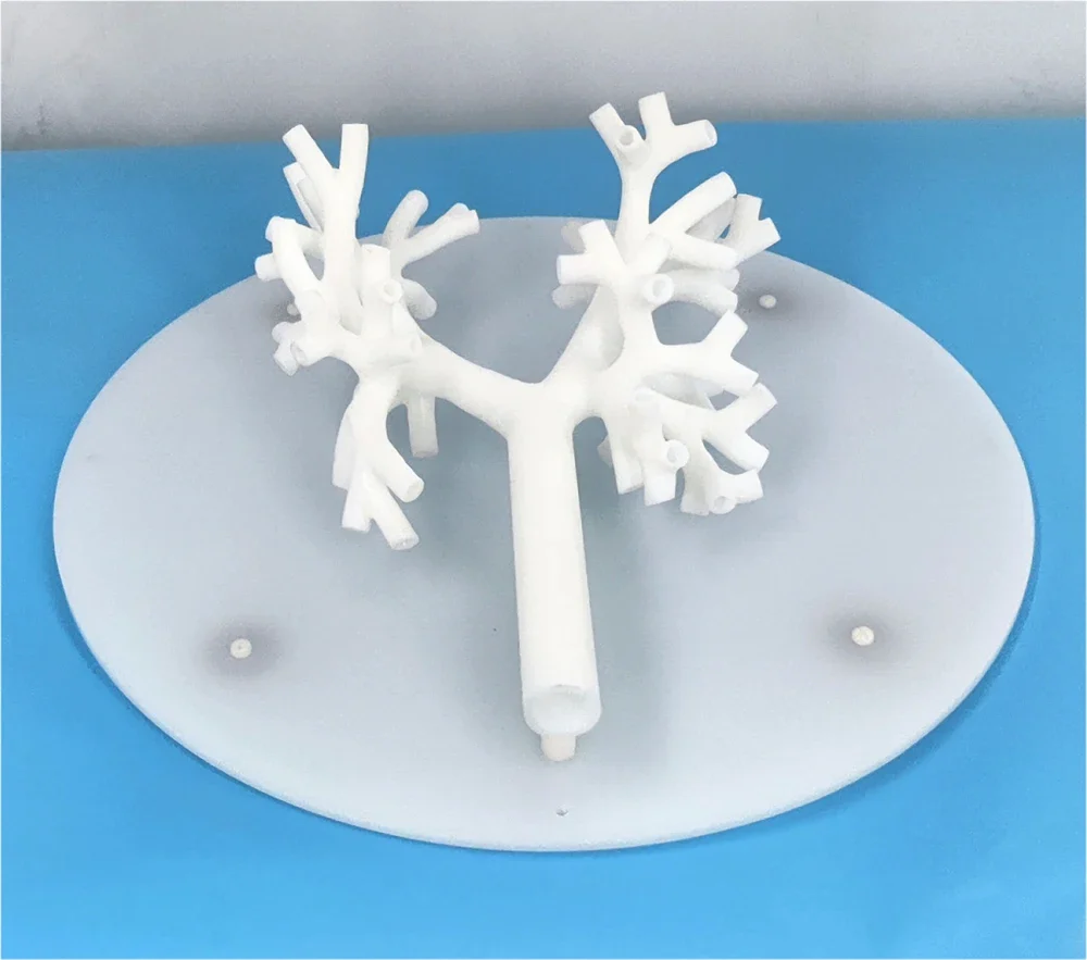 Bronchoscopy Training Model Bronchus Tracheal Model Grade 5 Branching Hard Material - Image 4