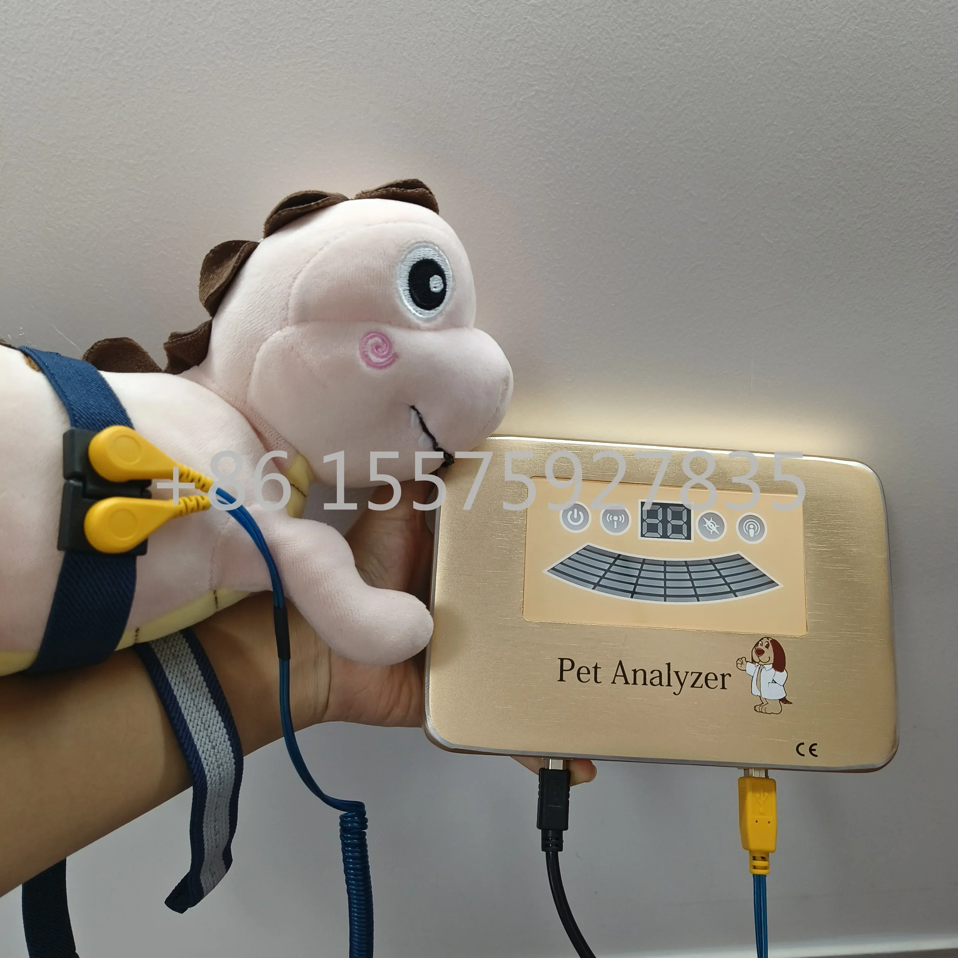 Cats and dogs Vitamin Amino Acid Coenzyme Heavy Metal Pet Scanner Quantums Magnetic Resonance Analyzer - Image 2