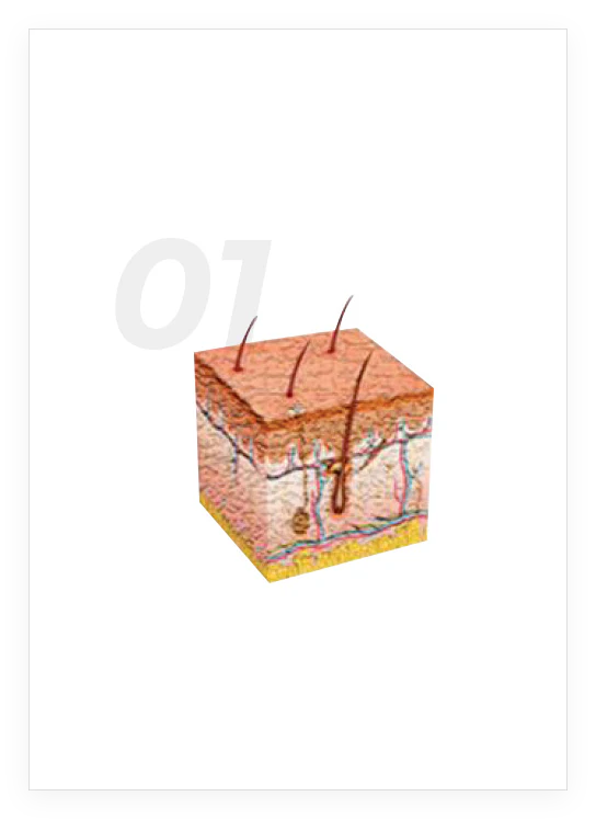 Derma Shine Pro Multiuse Mesotherapy Injection Device for Skin Booster Treatment Most Effective Derma Filler System - Image 5