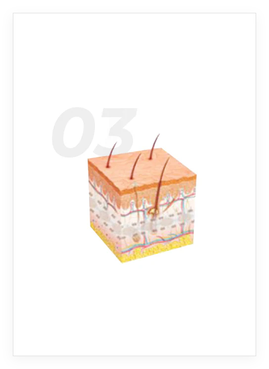Derma Shine Pro Multiuse Mesotherapy Injection Device for Skin Booster Treatment Most Effective Derma Filler System - Image 7