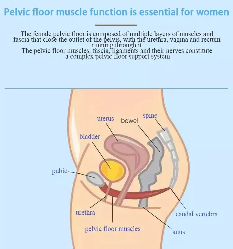 EMSlim Pelvic Floor Muscle Postpartum Muscle Training Prostate Massage Chair Machine Urinary Incontinence butt lift - Image 6
