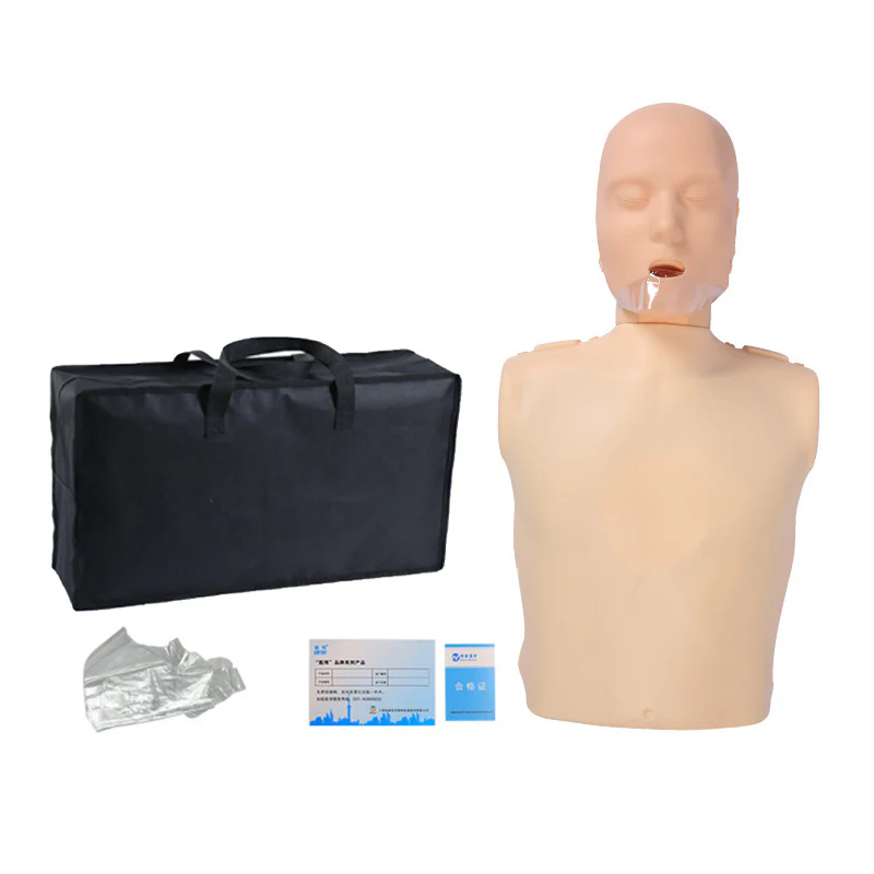 Human Body Model for Cardiopulmonary Resuscitation Simulation Training - Half-Body Manikin for Artificial Respiration First Aid Training CPR Training - Image 2