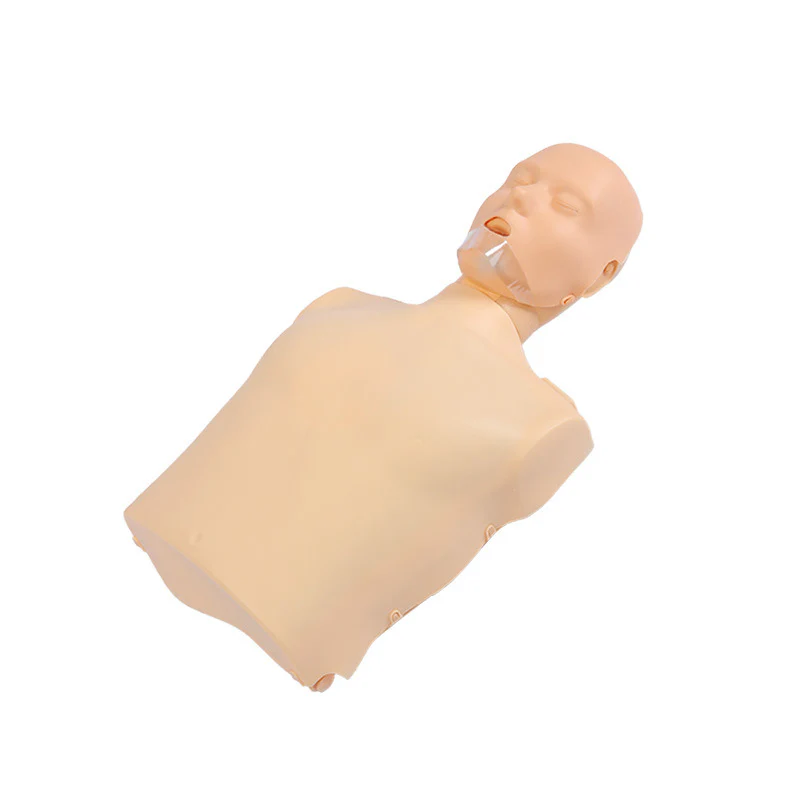 Human Body Model for Cardiopulmonary Resuscitation Simulation Training - Half-Body Manikin for Artificial Respiration First Aid Training CPR Training - Image 3