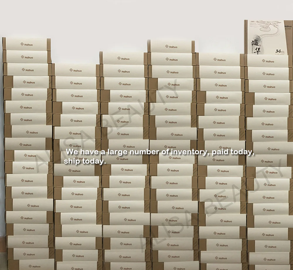 Haihua CD-9 Serial Heated type QuickResult Therapeutic Apparatus Electrical Stimulation Acupuncture Therapy Device - Image 8