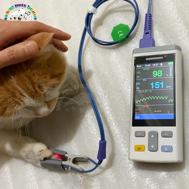 Handheld Multi-function Veterinary Monitor Blood Oxygen Monitor Sphygmomanometer Thermometer for Dog Cat Vet Equipmen - Image 7