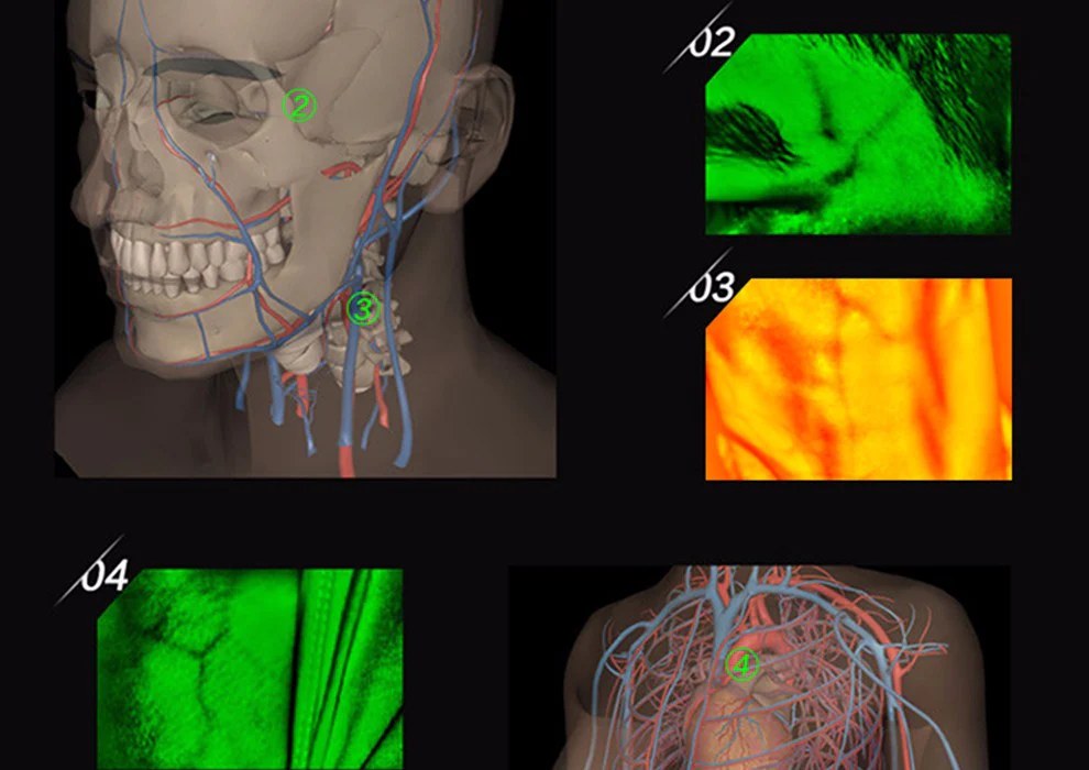 HD Vein imaging Vein Viewer Vein Finder Vein Camera Auxiliary Positioning Vein Tool - Image 7
