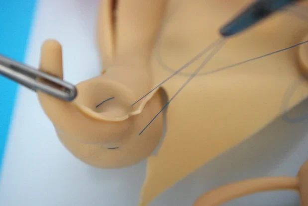 Laparoscopy training simulation silicone organ model soft hollow organ Stomach colon appendix liver and gallbladder - Image 4