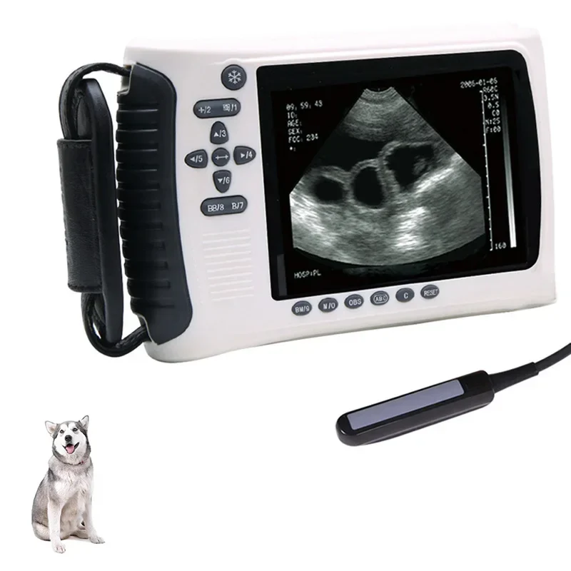 MSLVU22 Medical Vet Ultrasound Machine Portable Ultrasound Scanner Digital Veterinary Ultrasound Scanner