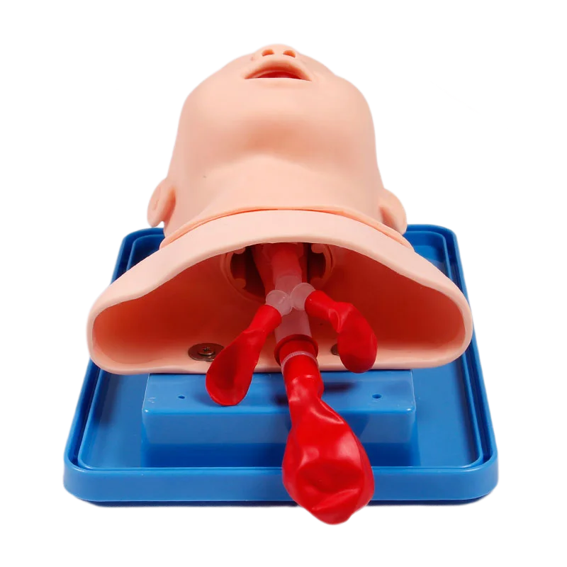 Neonatal Infant Tracheal Intubation Model Analog Double Lung and Stomach Expansion Child Tracheal Intubation Simulator - Image 2