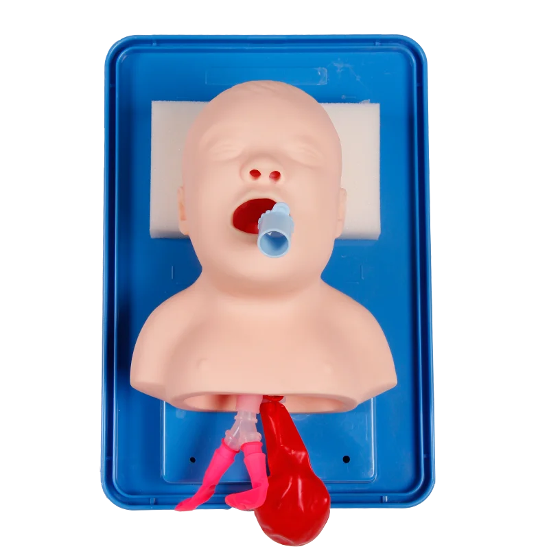 Neonatal Infant Tracheal Intubation Model Analog Double Lung and Stomach Expansion Child Tracheal Intubation Simulator - Image 4