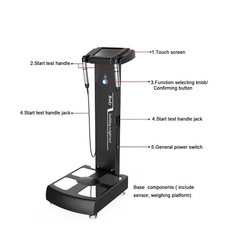 Newest Professional Body Building Weight Test System/Human Fat Health Analyzer Machine GS6.5C+ Tools 8d NLS Full High Quality - Image 6