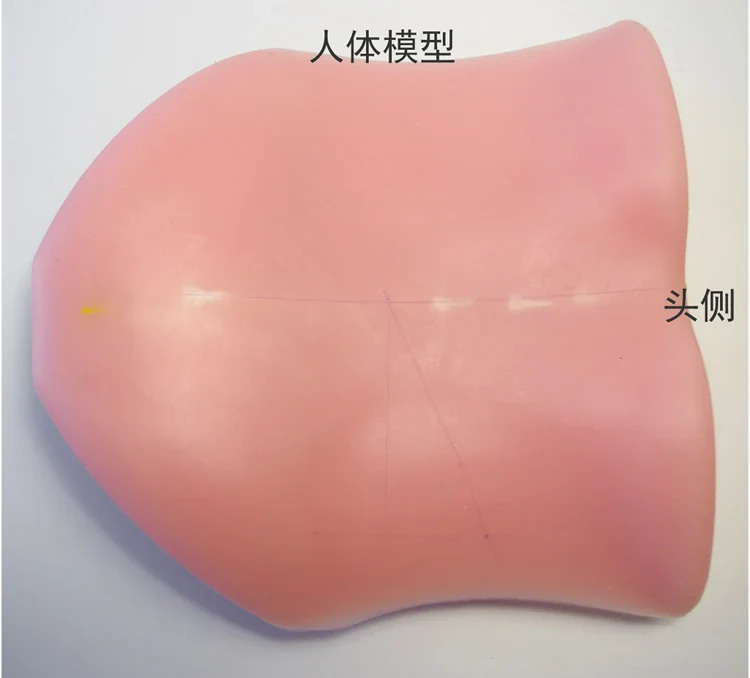 Percutaneous Transforaminal Endoscopic Discectomy Pted Training Model Human Back Model Soft And Punctureable