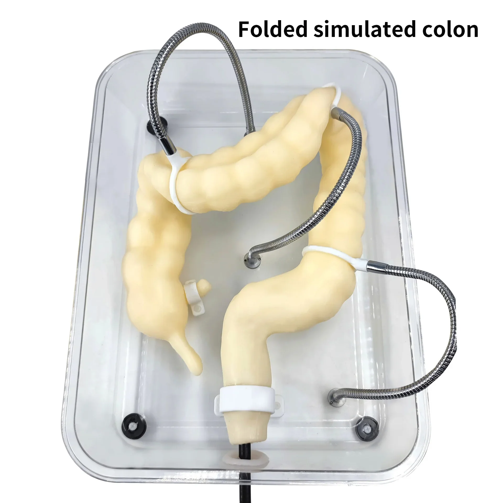 Soft Colonoscopy Training Model Simulator with Adjustable Difficulty, Virtual Colon Model for Medical Surgery Training, Realistic Colon Anatomy with Tumor and Appendix Models - Image 6