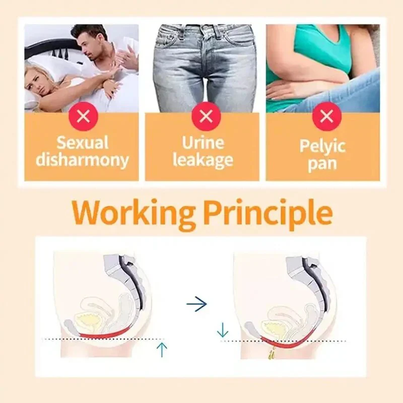 Stimulator Repair Compactness Enhanced Emslim Female Pelvic Floor Muscle Postpartum Repair Chair Enhanced Beauty - Image 3