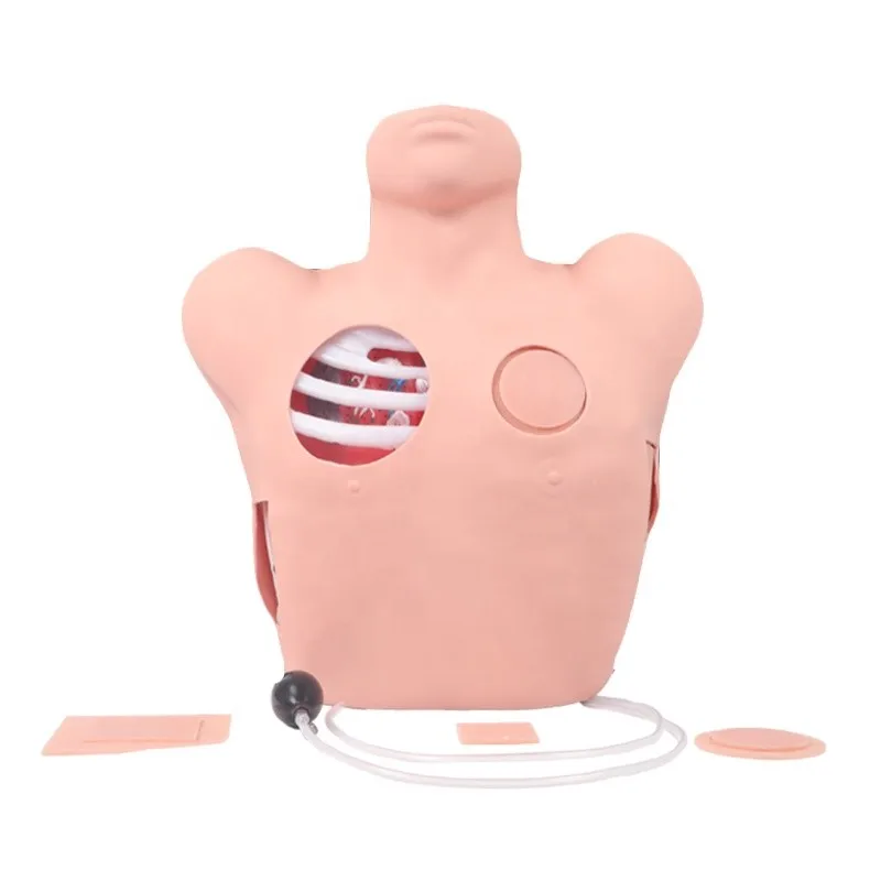 Thoracentesis Pneumothorax Hydrothorax Practice Simulator | Chest Wound Care Training Model for Nursing & Medical Students