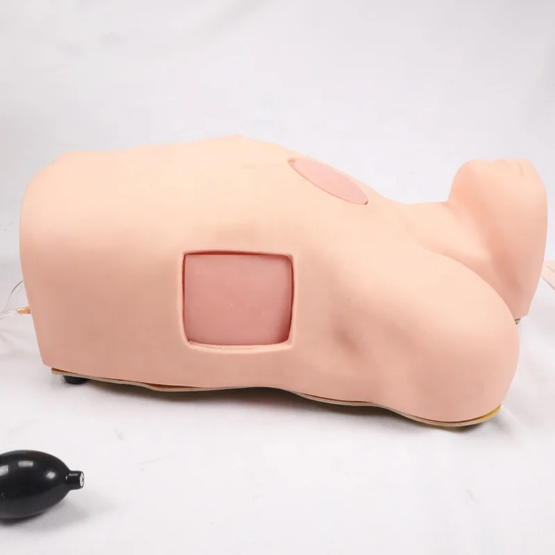 Thoracentesis Pneumothorax Hydrothorax Practice Simulator | Chest Wound Care Training Model for Nursing & Medical Students - Image 6